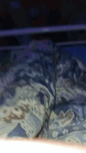 Curly Hair Boy Light Skin GIF