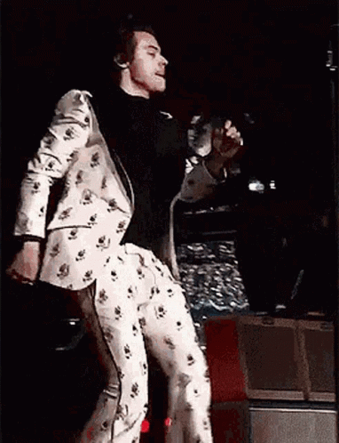 Curtsy Harry Stiles Concert GIF
