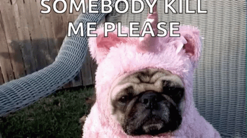 Cut Pug Somebody Kill Me Now Please GIF
