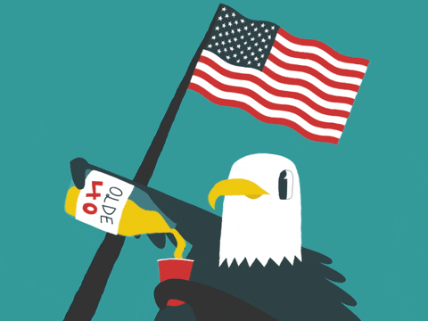Cute American Eagle Art Fourth Of July GIF