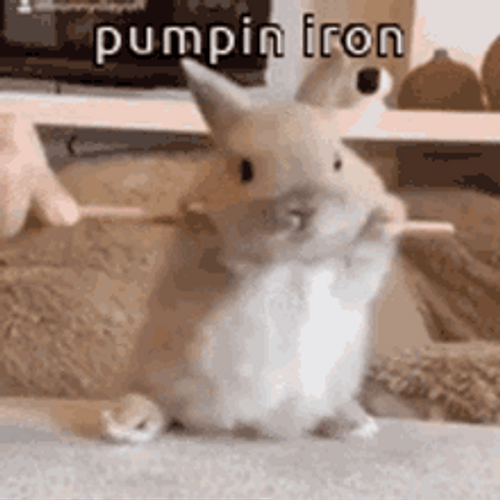 Cute And Funny Bunny Holding Stick GIF