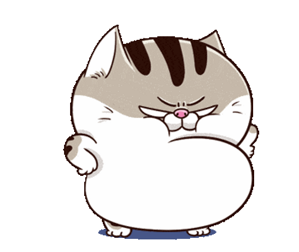 Cute Angry Fat Cat GIF