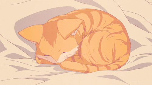 Cute Animated Cat Sleeping GIF