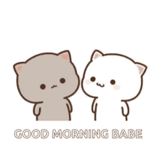 Cute Animated Cats Good Morning Kisses GIF 