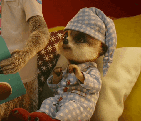 Cute Animated Meerkat Sleepy GIF