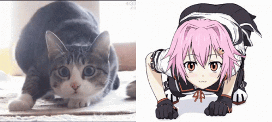 How do cute anime cat girls that you're hiding from the rest of