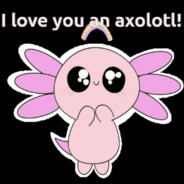 Cute Axolotl I Love You An Axolotl Gif GIF