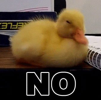 Cute Baby Duck Shaking Head Meme GIF
