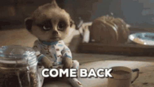 Cute Baby Meerkat Come Back GIF