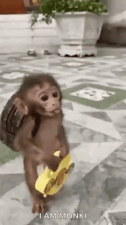 Cute Baby Monkey Hiking Meme GIF