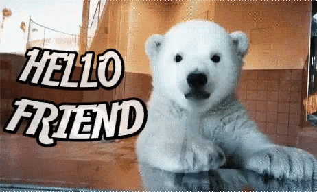 Cute Baby Polar Bear Waving Hello Friend GIF
