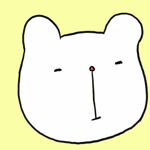 Cute Bear Confused What GIF