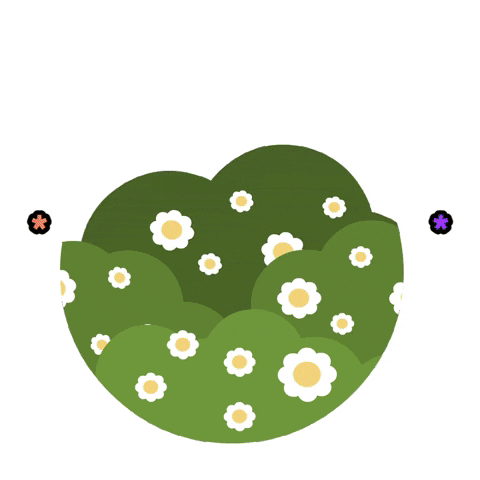 Cute Bear Peek A Boo GIF