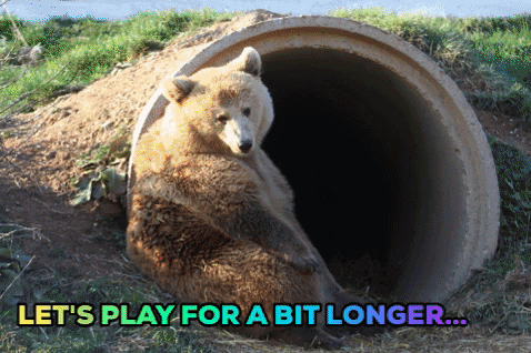 Cute Bear Playing Around GIF