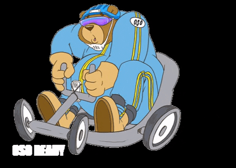 Cute Bear Riding Race Car GIF