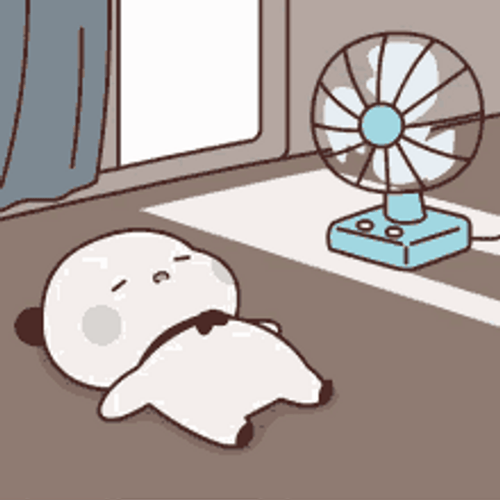 Cute Bear Sleeping Front Of Fan Hot Weather GIF