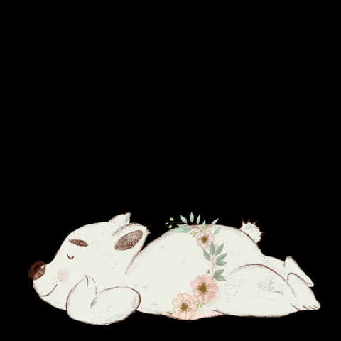 Cute Bear Sweet Dreams GIF