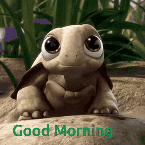 Cute Big Eyed Turtle Good Morning Cartoon GIF