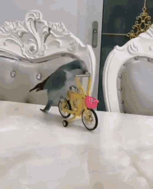 Cute Bird Riding Bike GIF