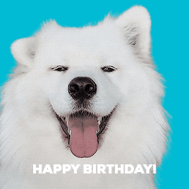 Cute Puppy Greeting Happy Birthday GIF