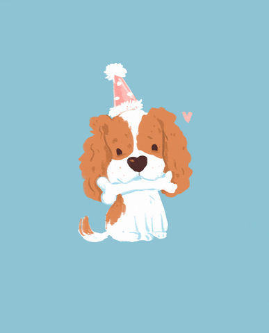 Cute Puppy Birthday Party Hat GIF