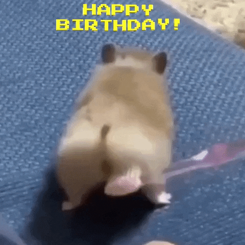 Cute Hamster Getting Brush Birthday Greeting GIF
