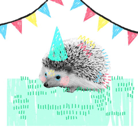 Cute Hedgehog In Birthday Party Hat GIF