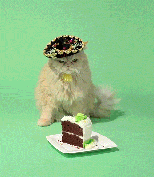 Cute Grumpy Cat Guarding Birthday Cake GIF