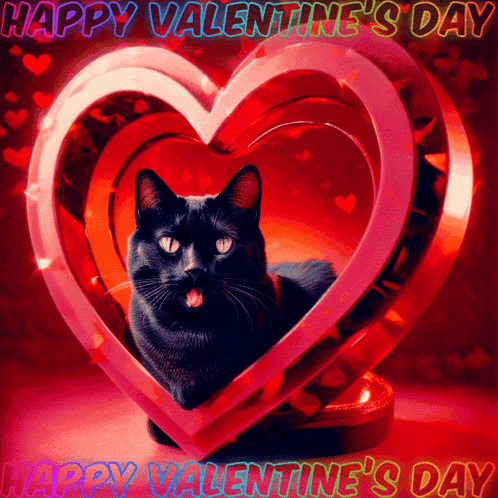 Cute Black Cat Happy Valentines Day GIF
