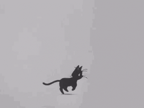 Cute Black Cat Running GIF