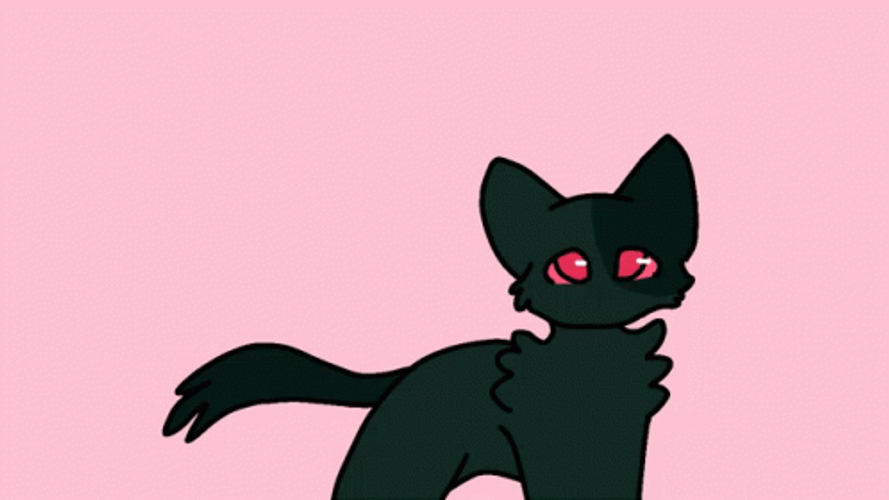 Cute Black Warrior Cats GIF