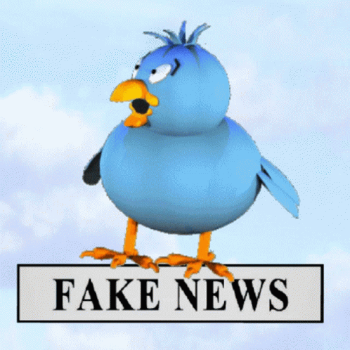 Cute Blue Bird Fake News GIF