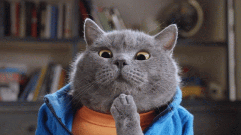 Cute British Shorthair Cat Overthinking Deeply GIF