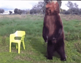 Cute Brown Bear Playing Bugle GIF