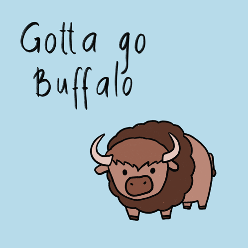Cute Buffalo Gotta Go Buffalo GIF
