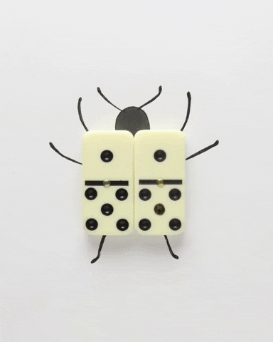 Cute Bug Wiggling Domino Wings GIF
