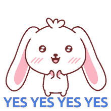 Cute Bunny Clapping Yes Yes Yes Sticker GIF