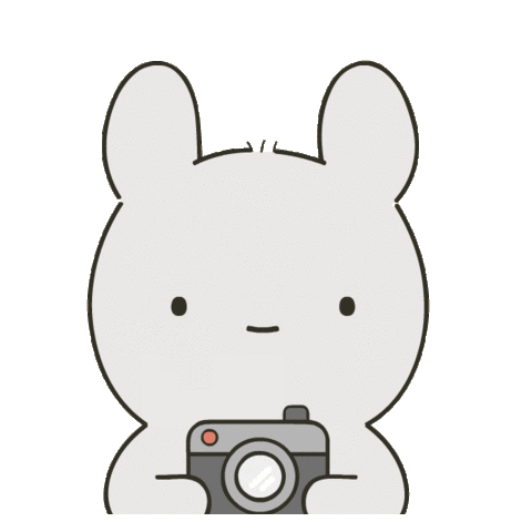 Cute Bunny Snapping Picture GIF