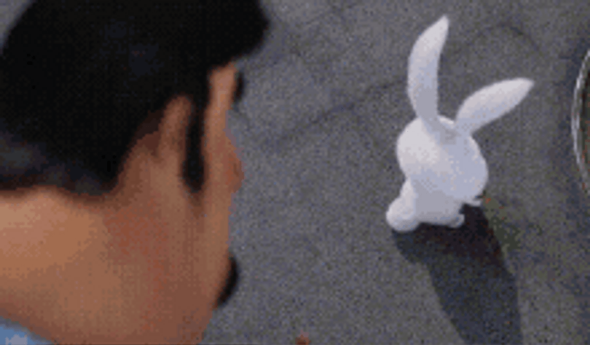 Cute Bunny Snowball Life Of Pets Attacking Human GIF