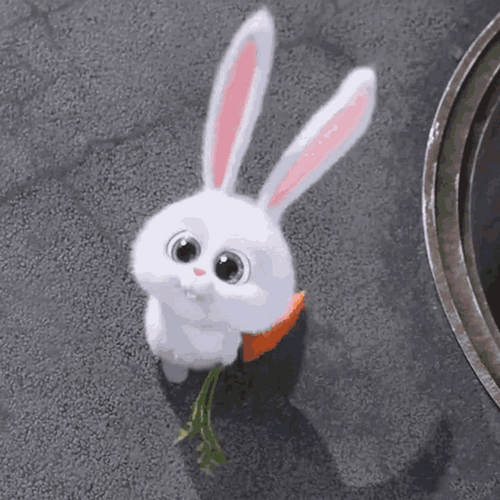 Cute Bunny Snowball Life Of Pets Big Eyes GIF