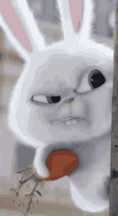 Cute Bunny Snowball Life Of Pets Evil Look GIF