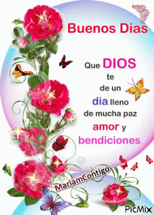Cute Butterflies Bendecido Dia GIF