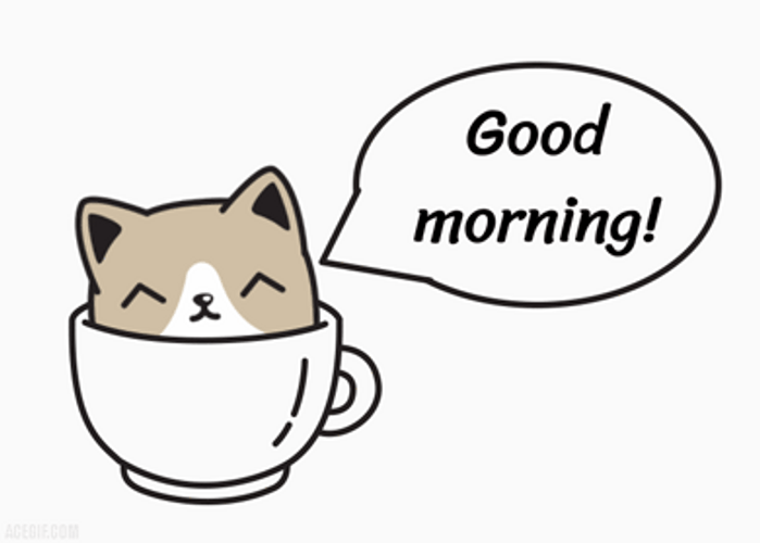Cute Cartoon Cat Peeking Good Morning GIF