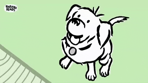 Cute Cartoon Dog Asking For Attention GIF