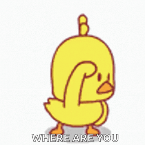 Cute Cartoon Duckling Searching Around GIF