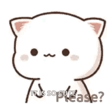 Cute Cat Asking If It Is So