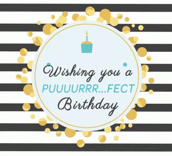 Cute Cat Birthday Message Text Design GIF