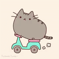 Cute Cat Driving Animation GIF