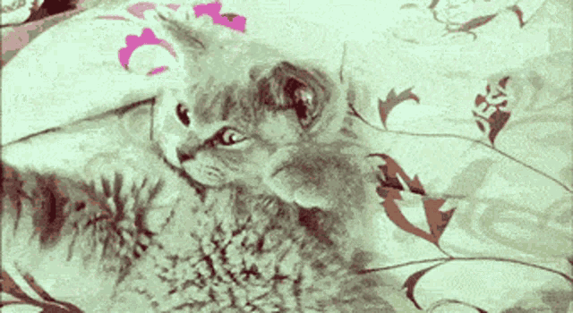 Cute Cat Facepalm GIF