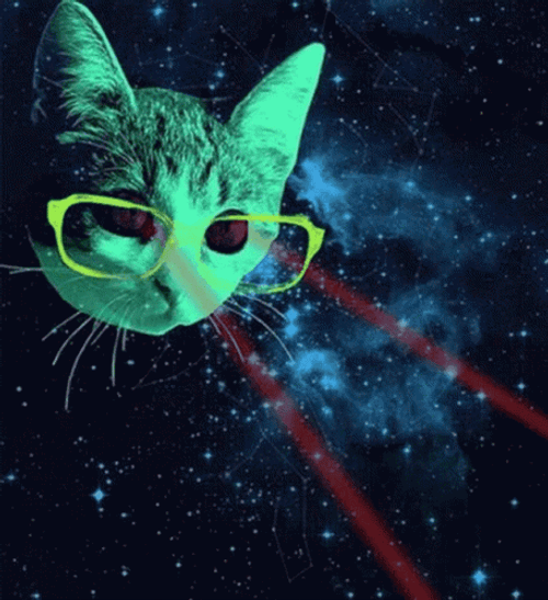 Cute Cat Glasses Space Glitch GIF